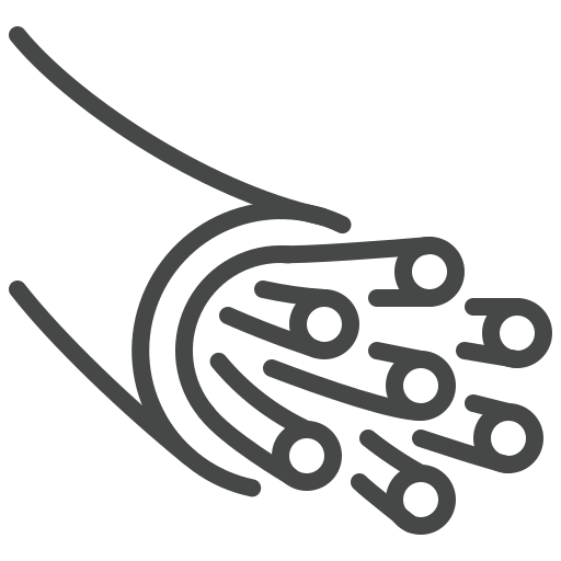 Fiber