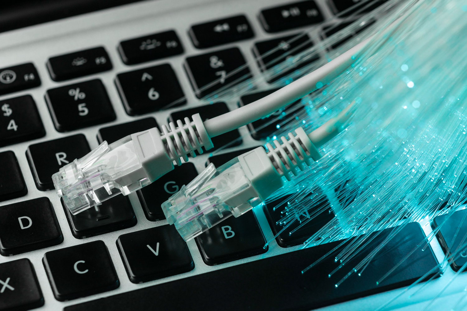 Network Setup